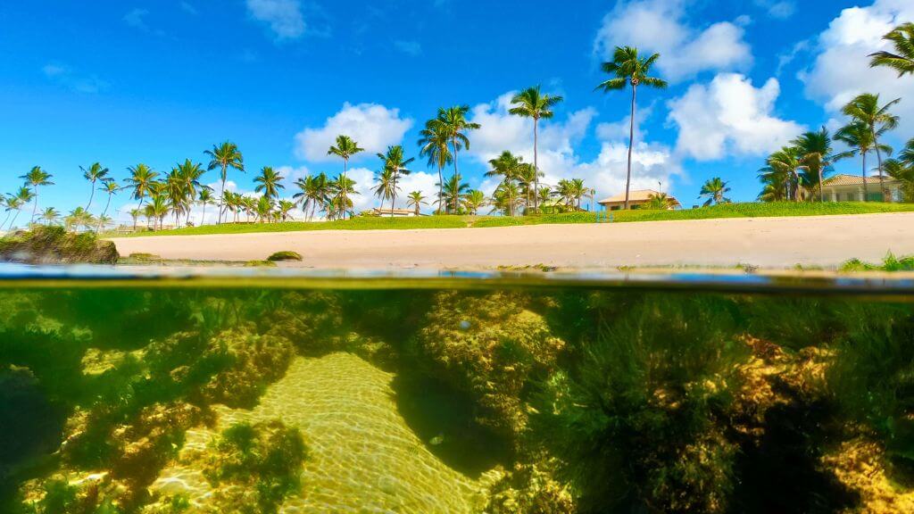Gerenciamento de Resíduos em Lauro de Freitas